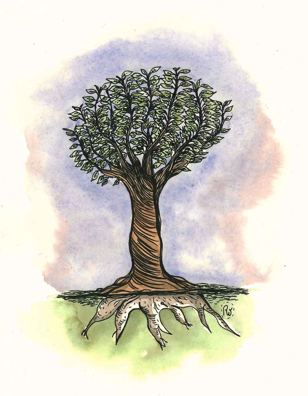 el_arbol-escogido_de-gabriela_
