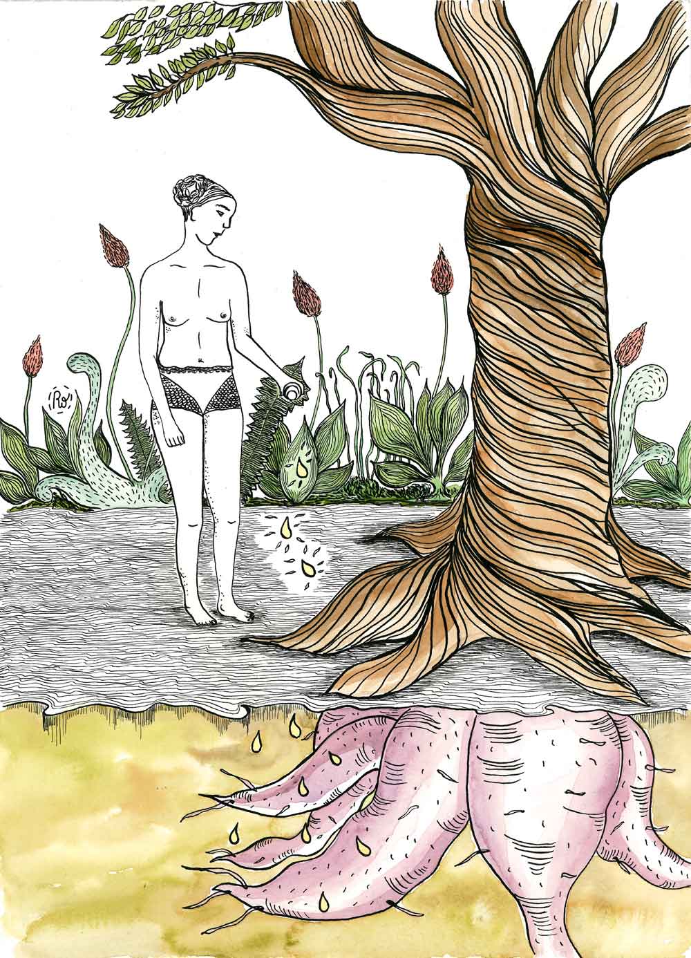 riega-las-raices